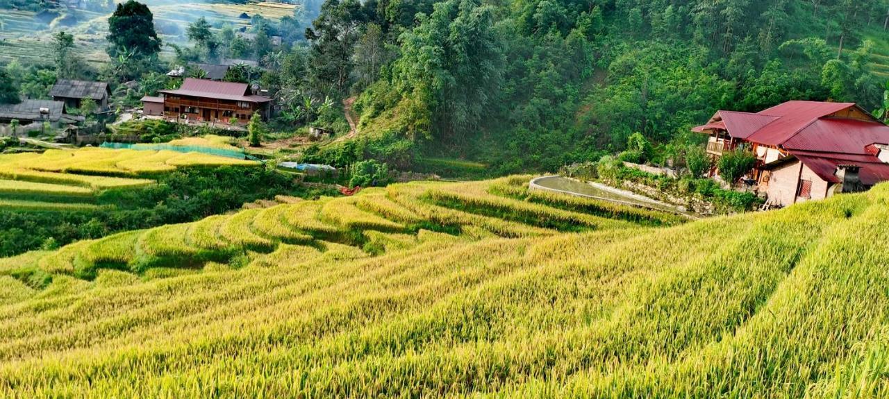 Madame View Homestay Sapa Dış mekan fotoğraf