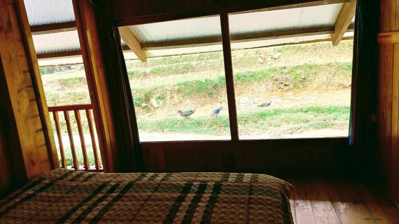 Madame View Homestay Sapa Dış mekan fotoğraf